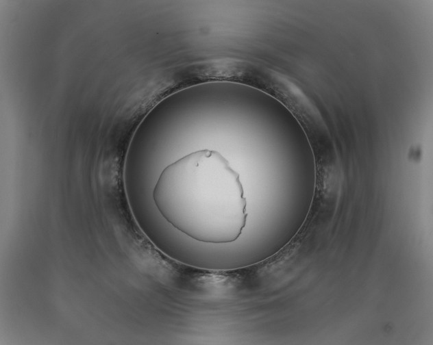 X0000090910326200707301439