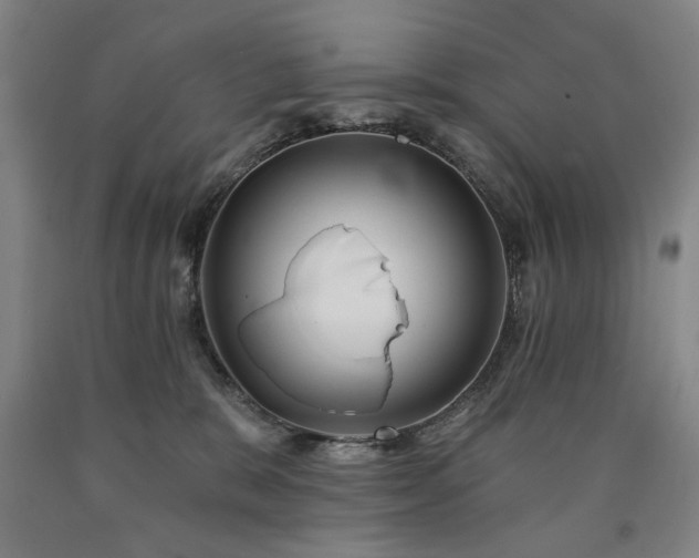 X0000090910327200707301439