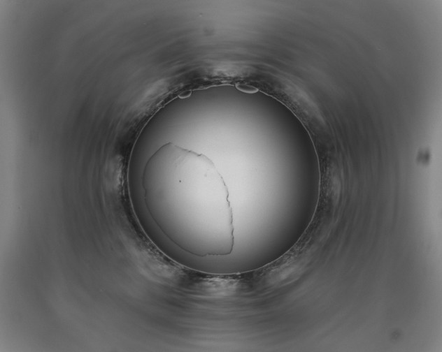 X0000090910328200707301439