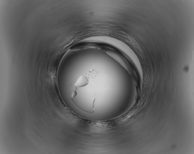 X0000090910329200707301439