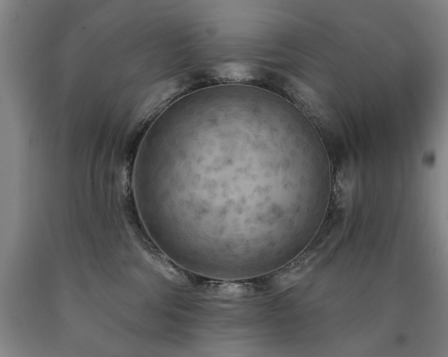 X0000090910330200707301439