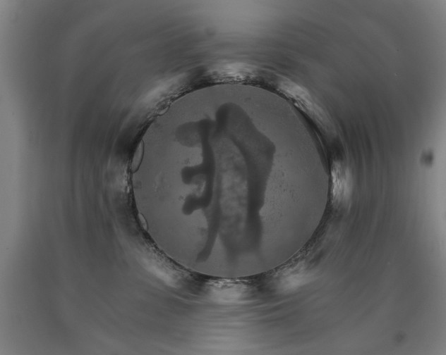 X0000090910331200707301439