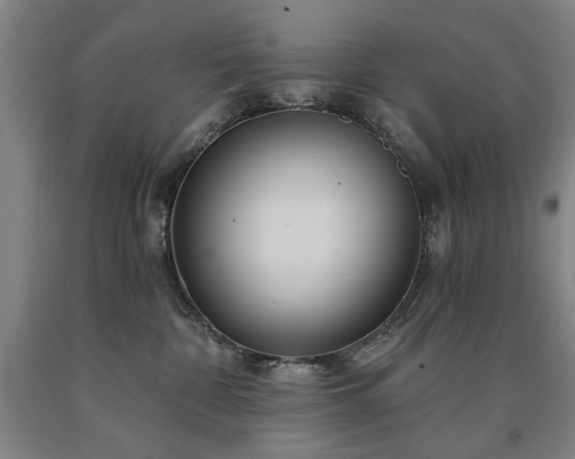 X0000090910332200707301439