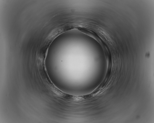 X0000090910333200707301439