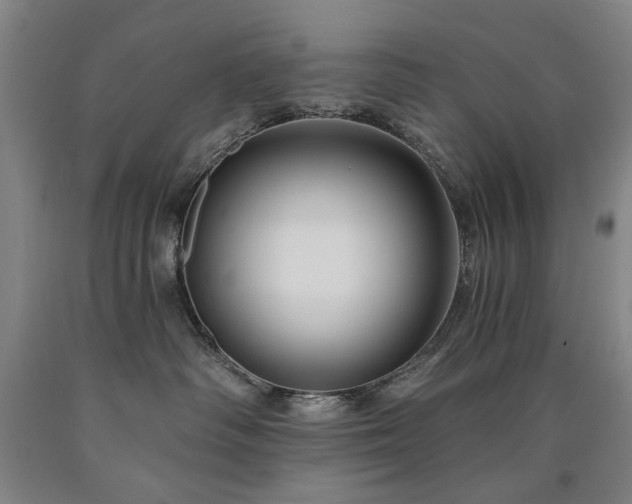 X0000090910334200707301439