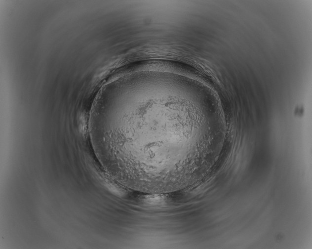 X0000090910335200707301439