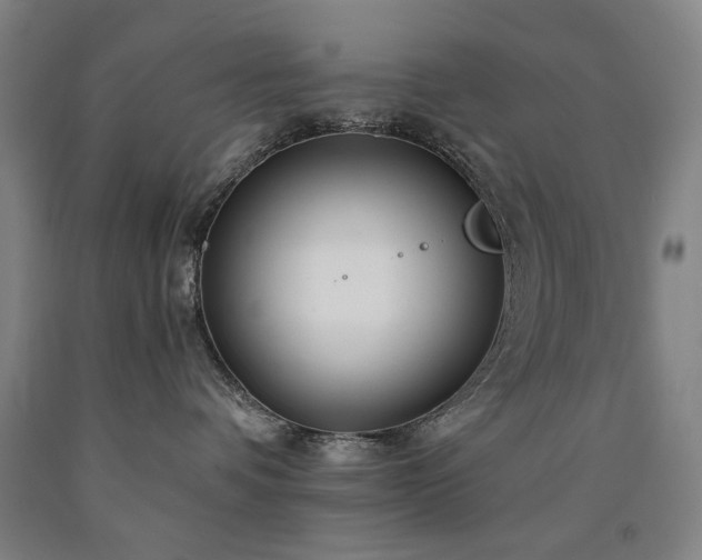 X0000090910336200707301439