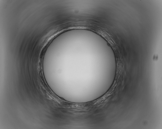 X0000090910338200707301438