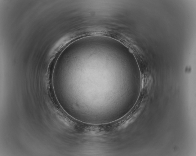 X0000090910339200707301438