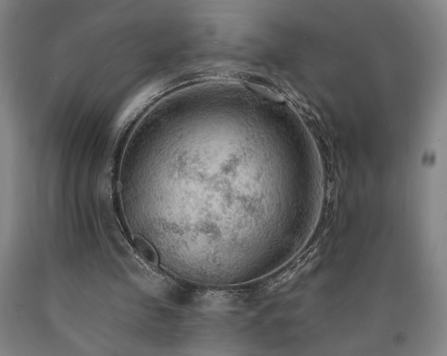 X0000090910341200707301438