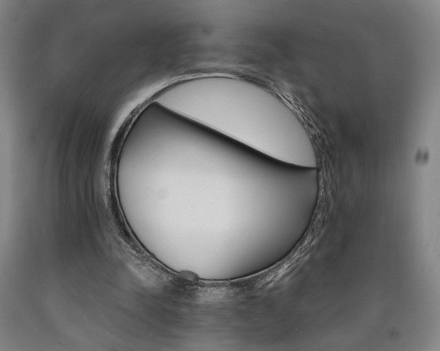 X0000090910342200707301438