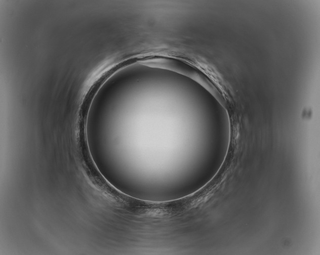 X0000090910344200707301438