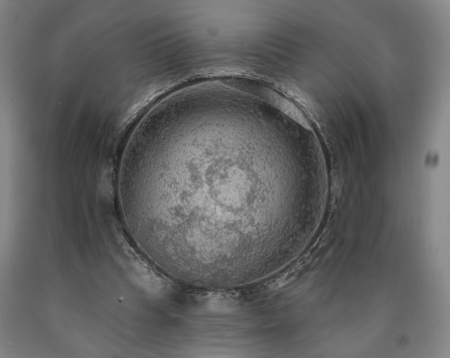 X0000090910345200707301438