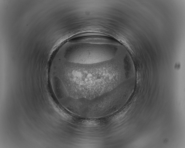 X0000090910349200707301439