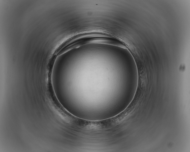 X0000090910350200707301439