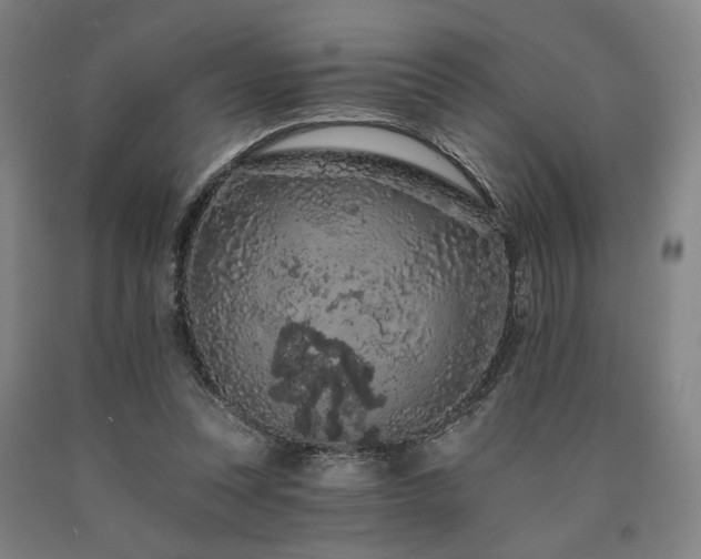 X0000090910351200707301439