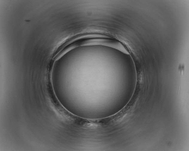 X0000090910352200707301439