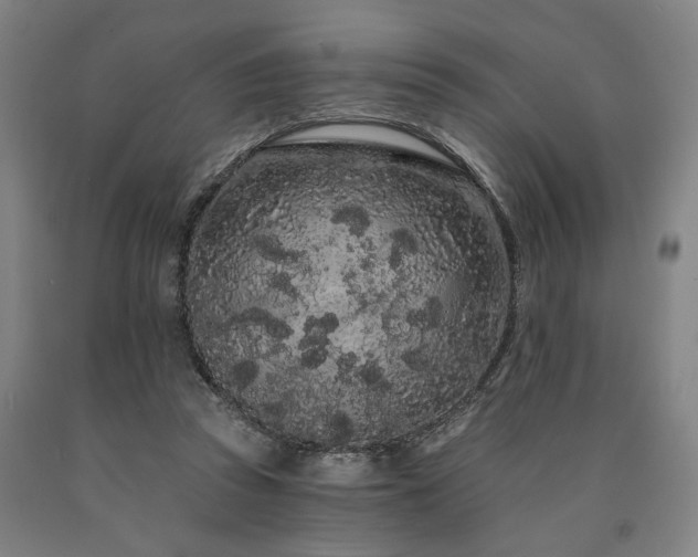 X0000090910353200707301439