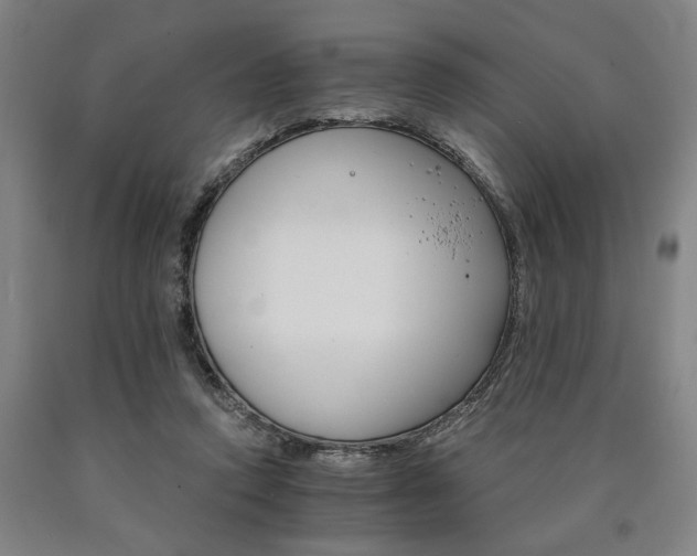 X0000090910354200707301439