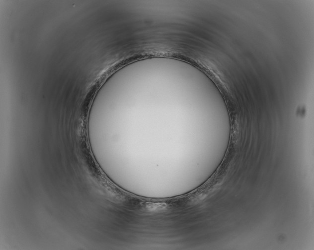 X0000090910355200707301439