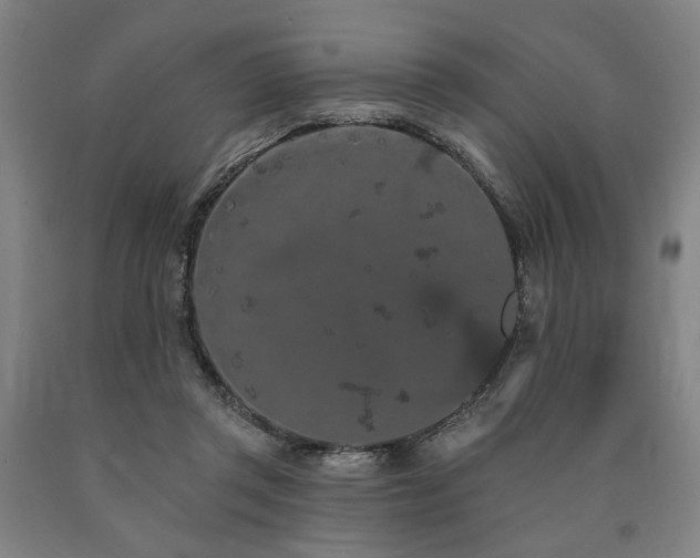 X0000090910357200707301439