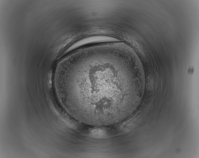 X0000090910358200707301439