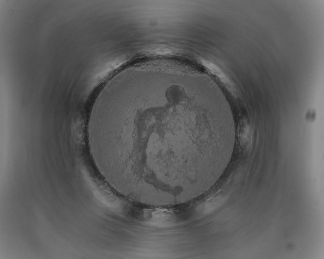 X0000090910359200707301439