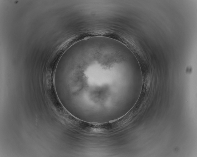 X0000090910360200707301439