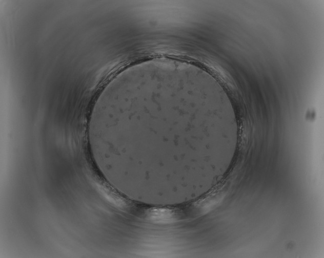 X0000090910361200707301439