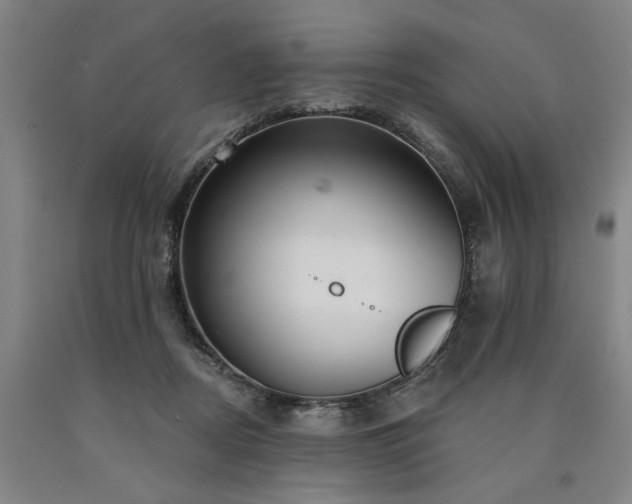 X0000090910362200707301439