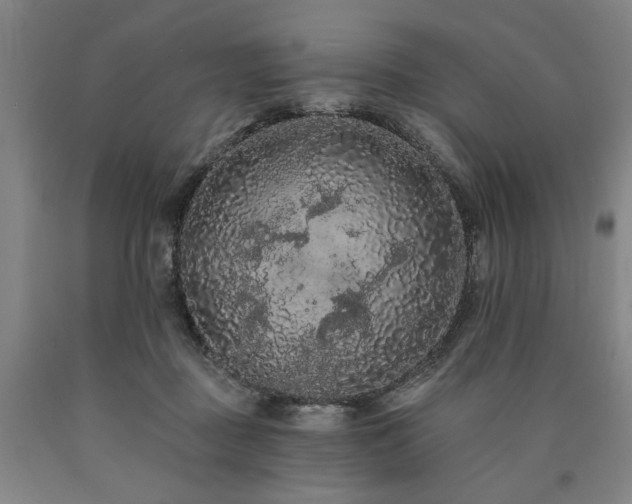 X0000090910363200707301439