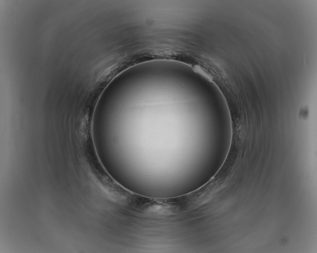 X0000090910364200707301439