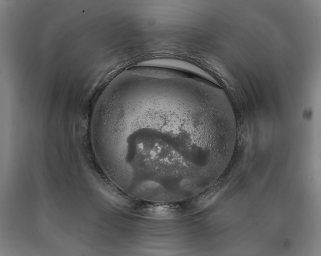 X0000090910365200707301439