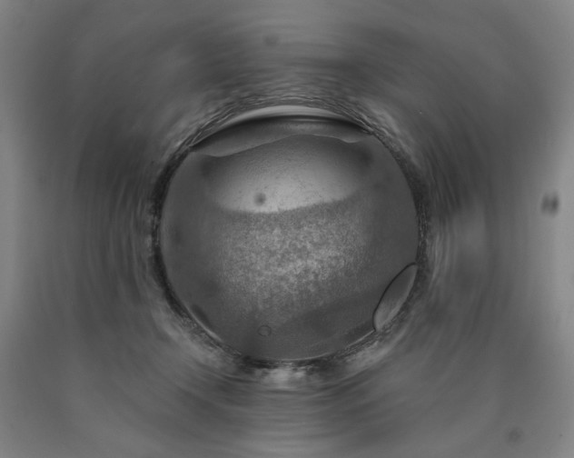 X0000090910366200707301439