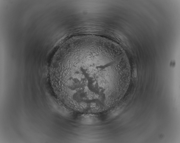 X0000090910367200707301439