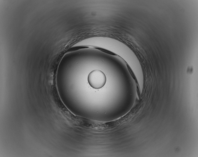 X0000090910368200707301439