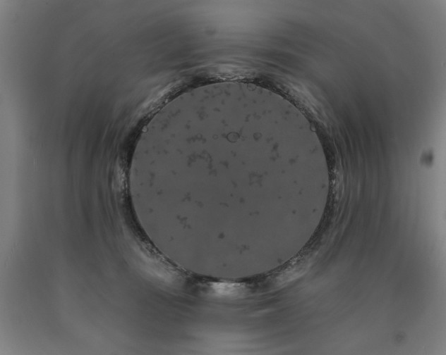 X0000090910371200707301439