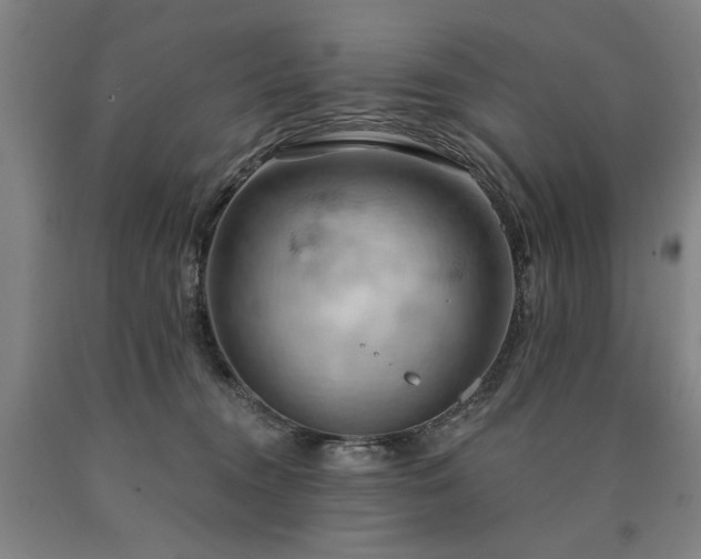 X0000090910372200707301439