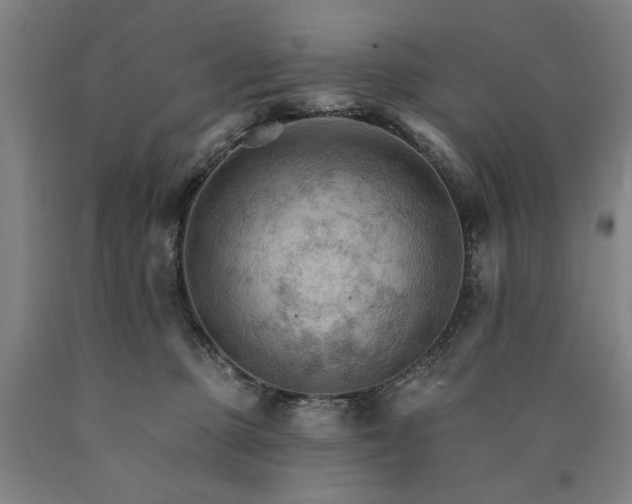 X0000090910373200707301439