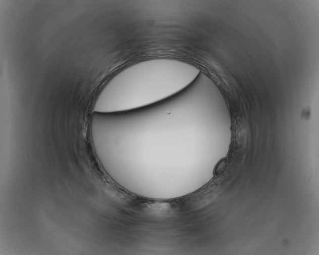 X0000090910374200707301439