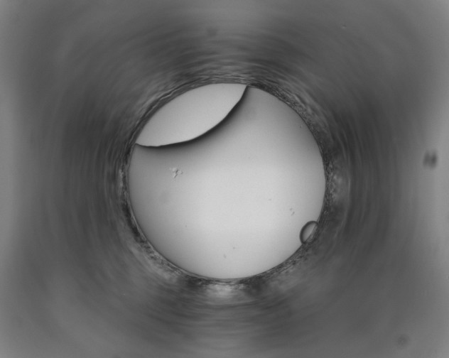 X0000090910375200707301439