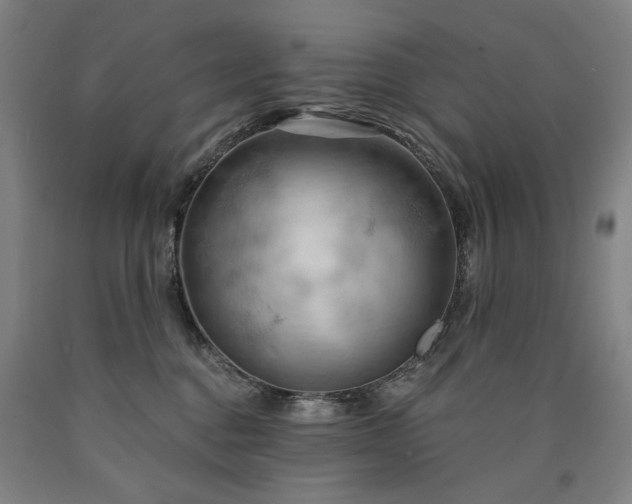 X0000090910376200707301439