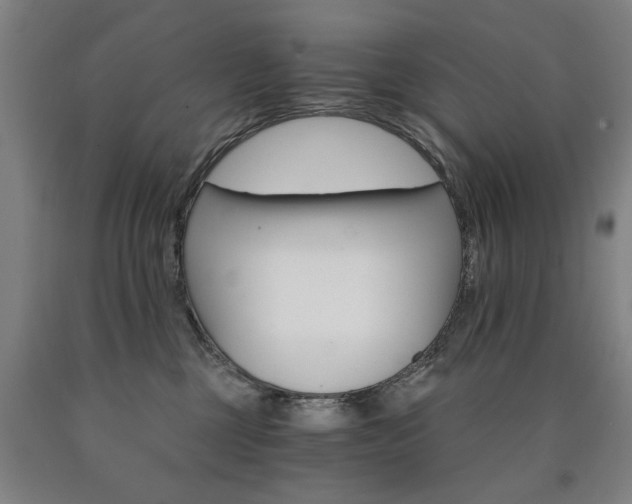 X0000090910377200707301439