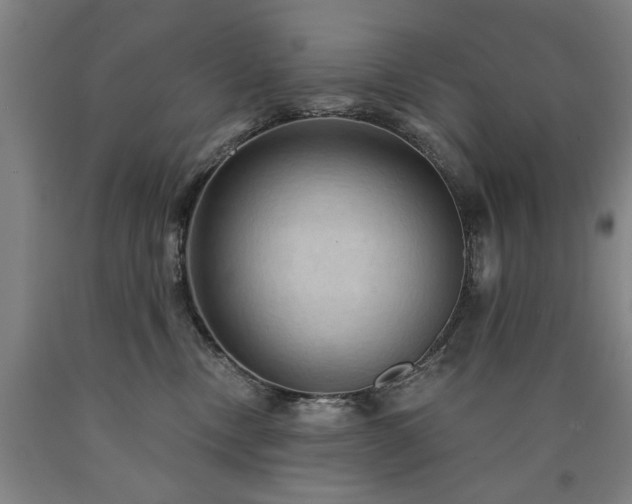 X0000090910378200707301439