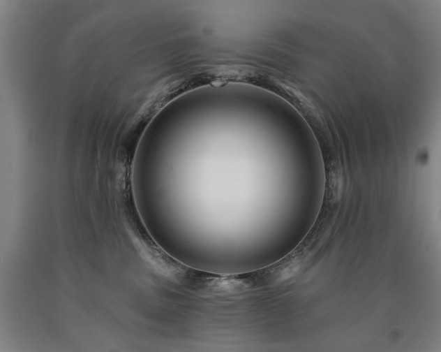 X0000090910379200707301439