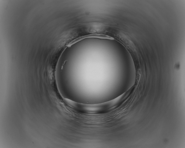 X0000090910380200707301439