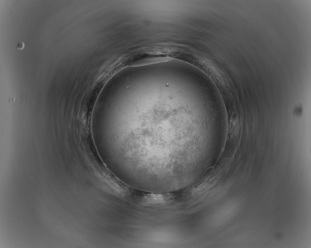 X0000090910381200707301439