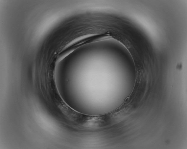 X0000090910382200707301439