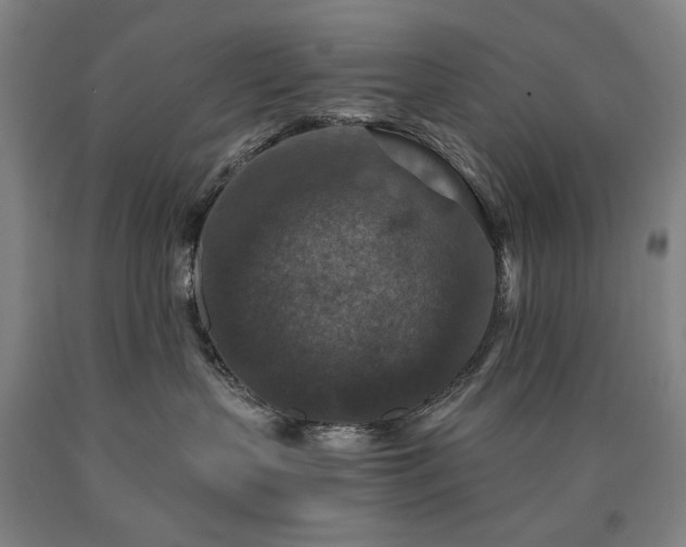 X0000090910383200707301439