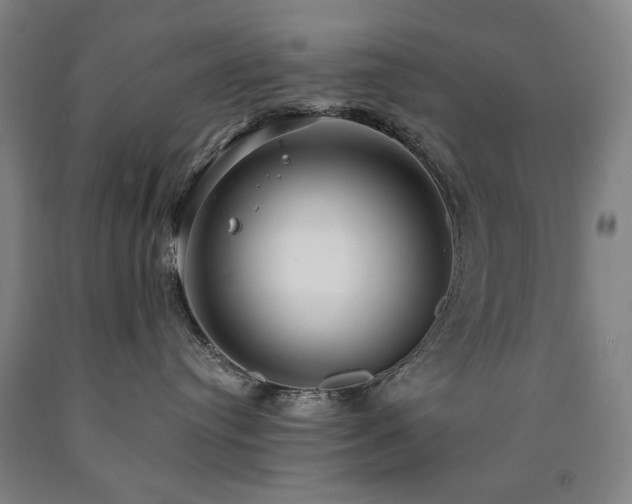 X0000090910384200707301439